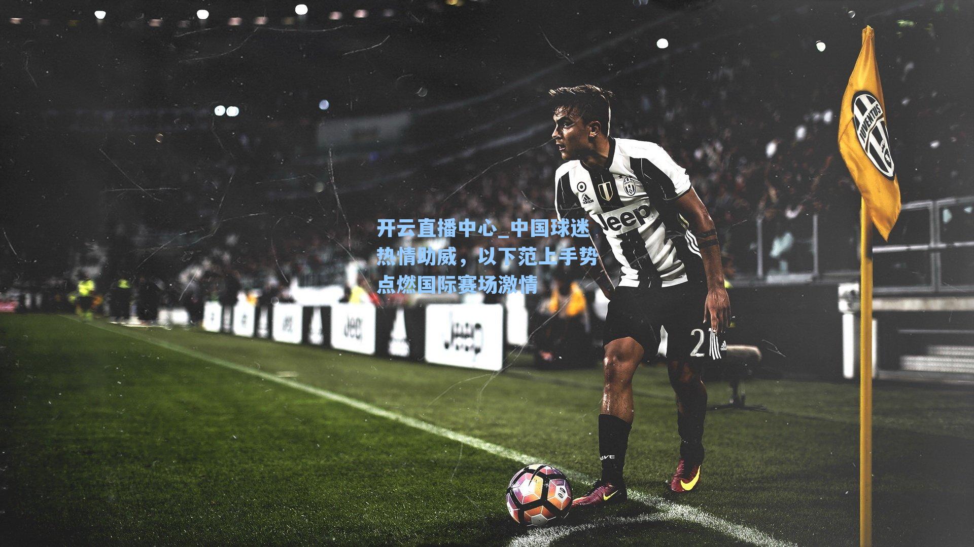 中国球迷热情助威，以下范上手势点燃国际赛场激情
